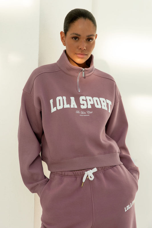 Jayla Half Zip Sweater | Mauve